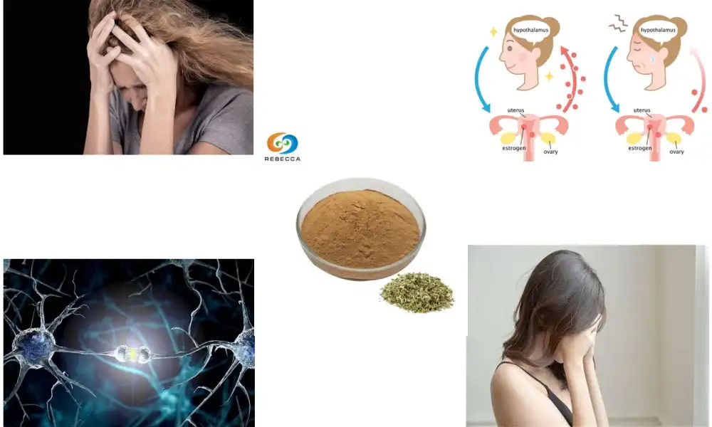 What does damiana do to hormones?